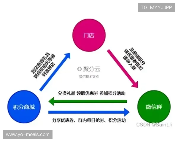 欧博买分：详细解析购买积分的优势与风险分析